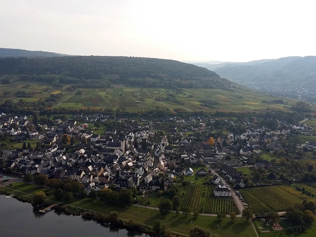 Blick von oben auf ein Dorf an der Mosel.